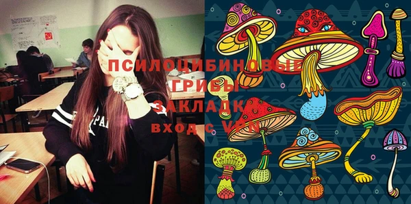 спиды Валдай