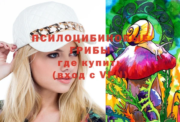 мдма Приозерск