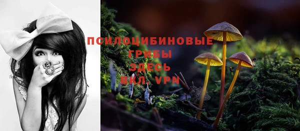 mdma Протвино