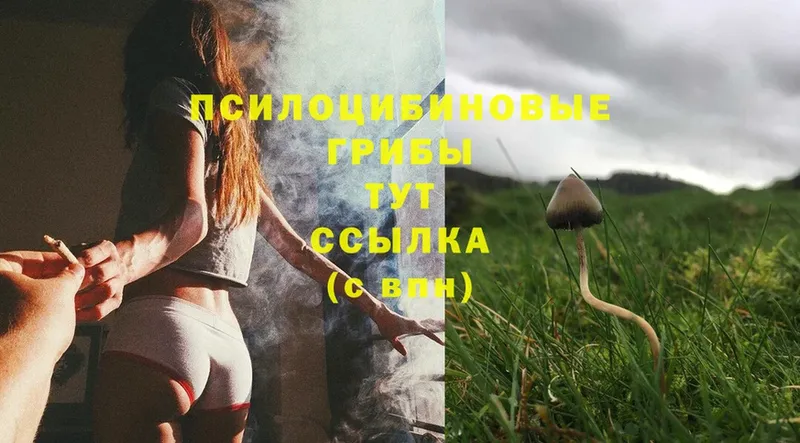 Галлюциногенные грибы Magic Shrooms  купить наркотики цена  Рославль 