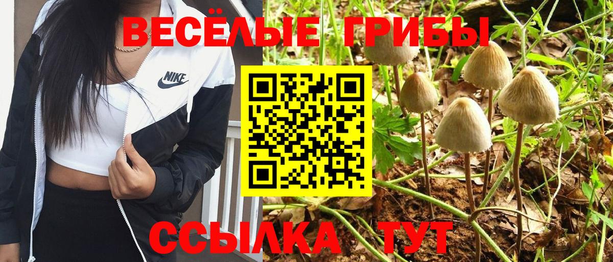 Псилоцибиновые грибы MAGIC MUSHROOMS Рославль